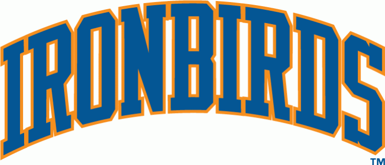 Aberdeen IronBirds 2010-2012 Wordmark Logo iron on transfers for T-shirts